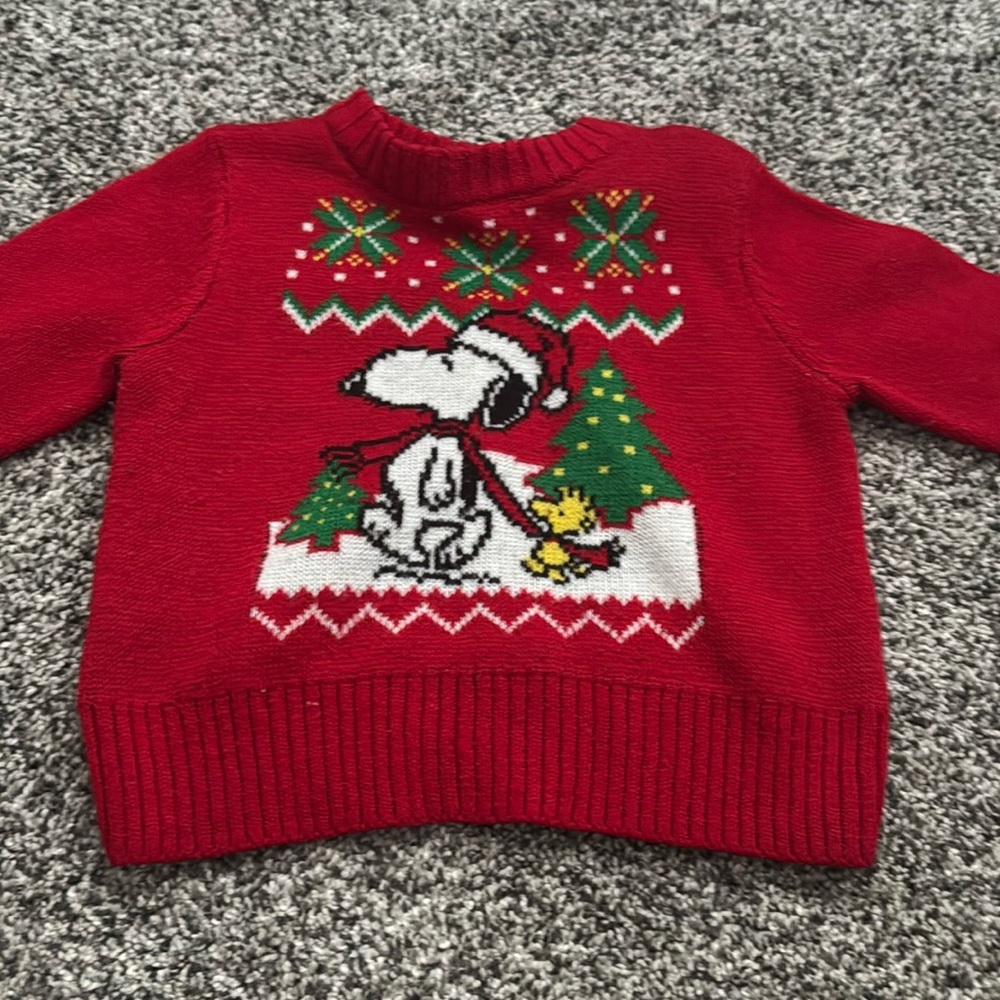2t Snoopy Peanut Sweater
